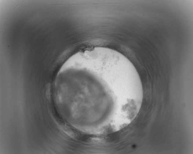 X0000066970167200604142150