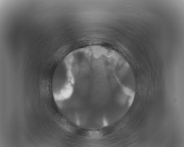 X0000066970169200604142150