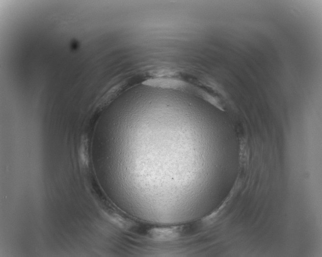 X0000066970170200604142150