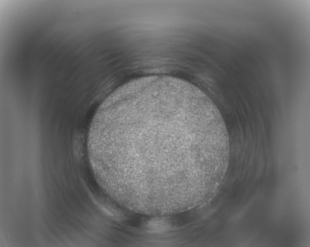 X0000066970171200604142150