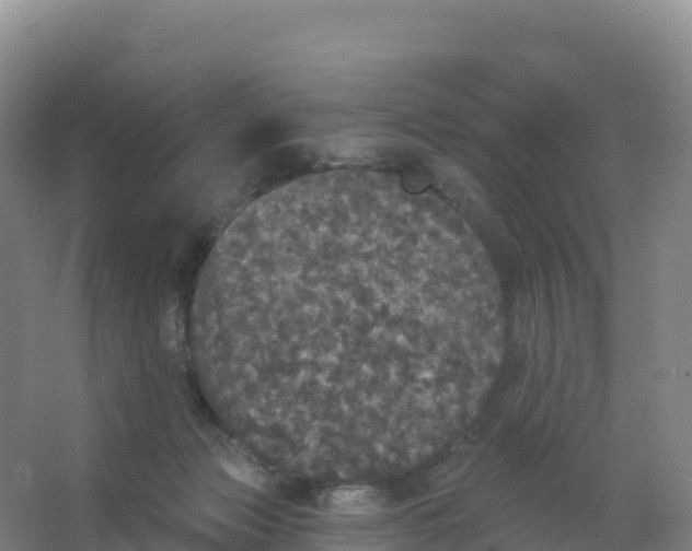 X0000066970173200604142150