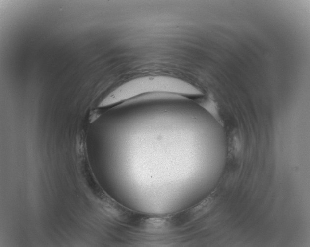 X0000066970176200604142150