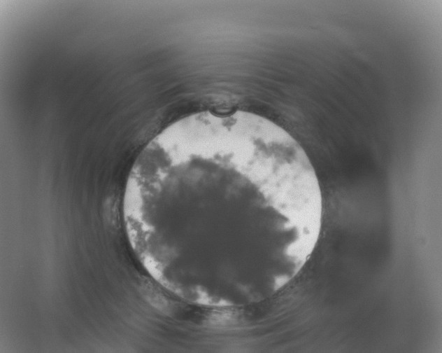 X0000066970177200604142150