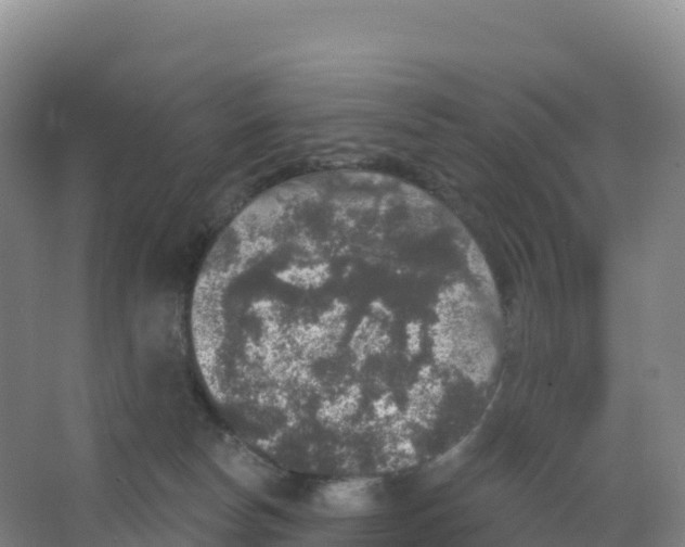 X0000066970178200604142150