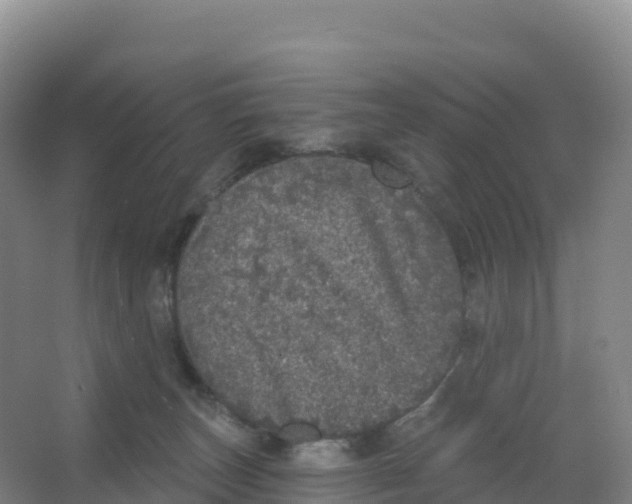 X0000066970179200604142150