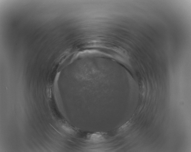 X0000066970180200604142150