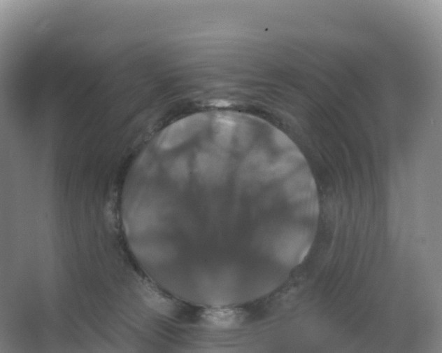 X0000066970181200604142150