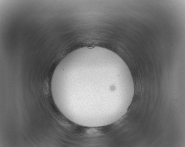 X0000066970183200604142150