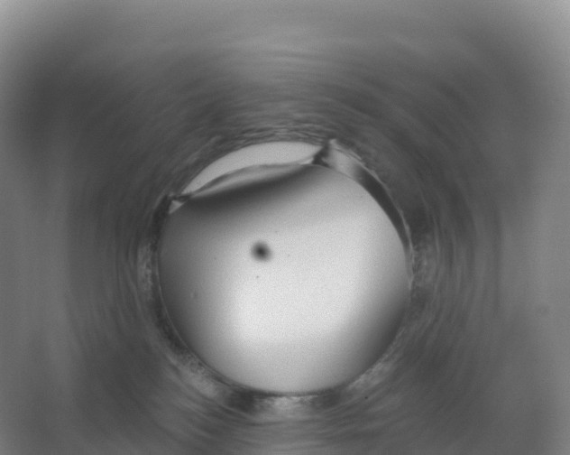 X0000066970184200604142150