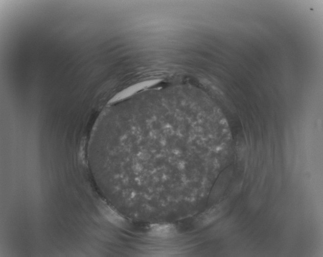 X0000066970185200604142150