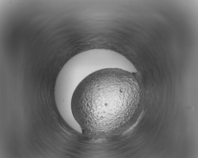 X0000066970186200604142150