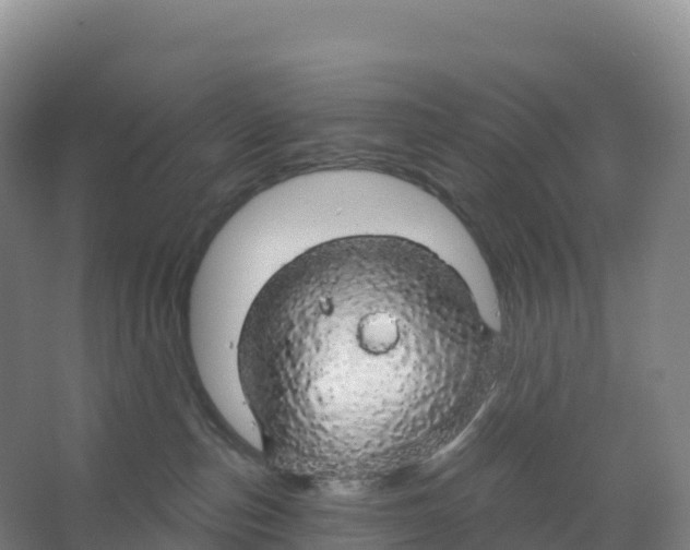 X0000066970187200604142150