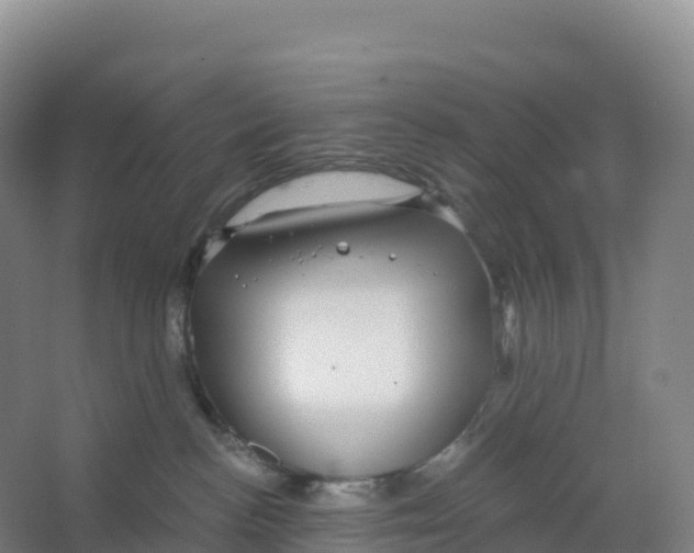 X0000066970188200604142150