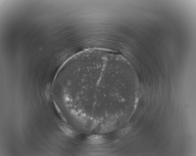 X0000066970189200604142150