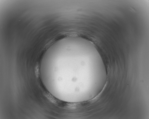 X0000066970190200604142150