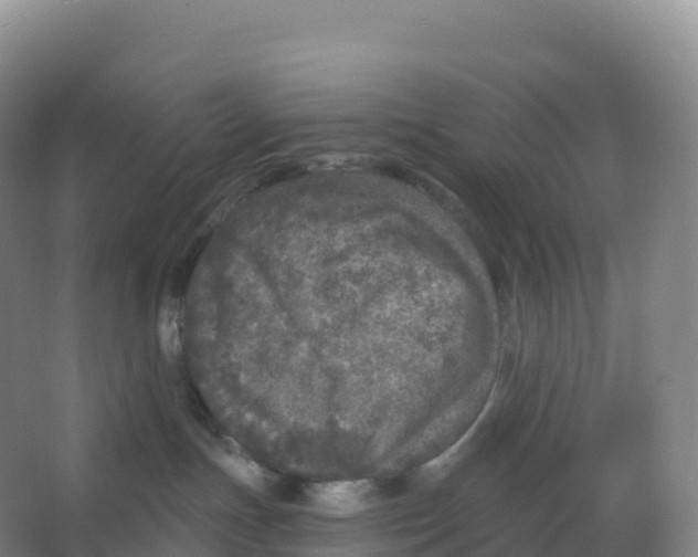 X0000066970191200604142150