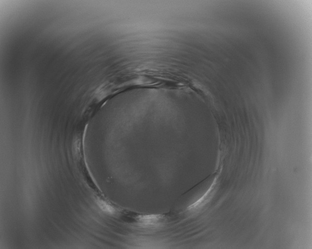 X0000066970192200604142150