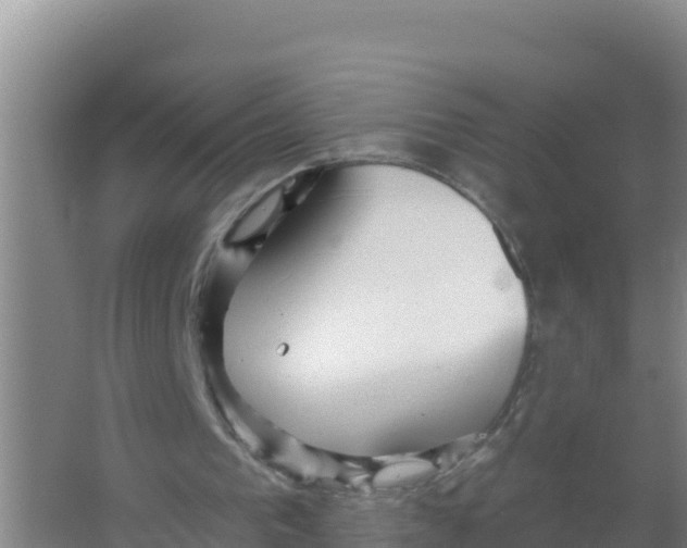 X0000066970193200604142149