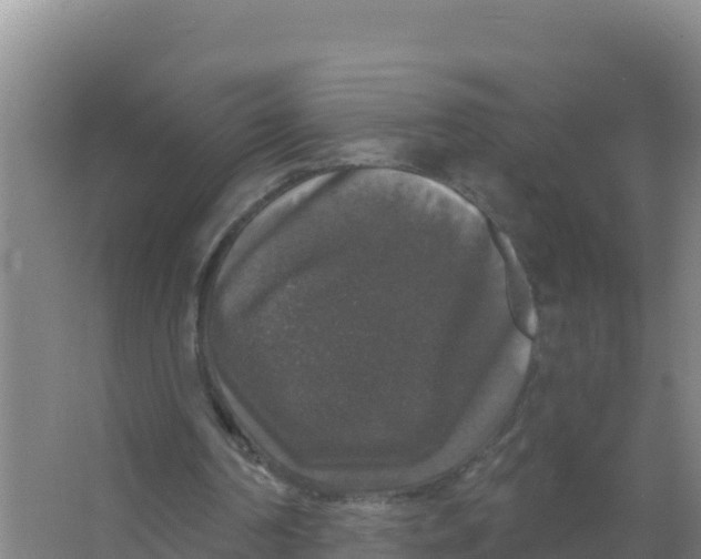 X0000066970194200604142149