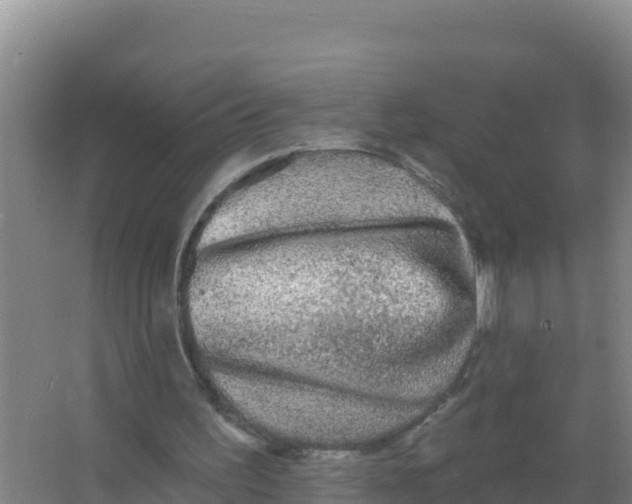 X0000066970195200604142149