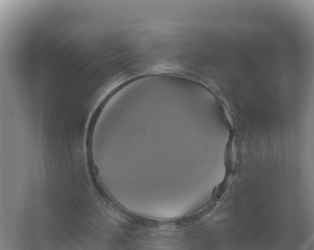 X0000066970196200604142149