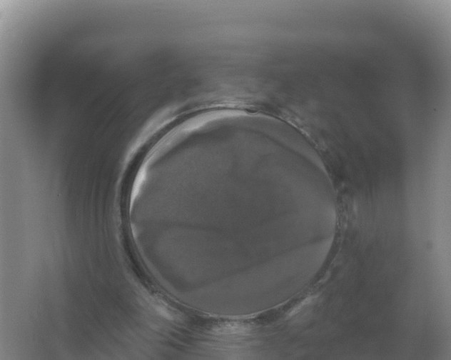 X0000066970198200604142149