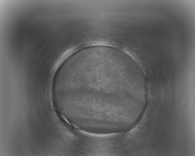 X0000066970199200604142149