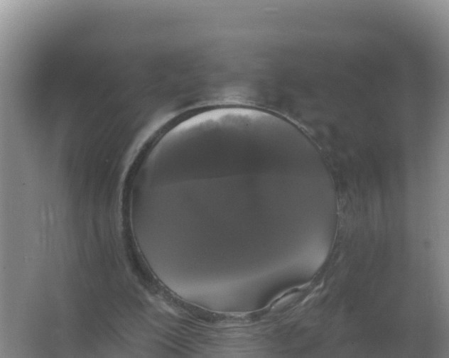 X0000066970200200604142149