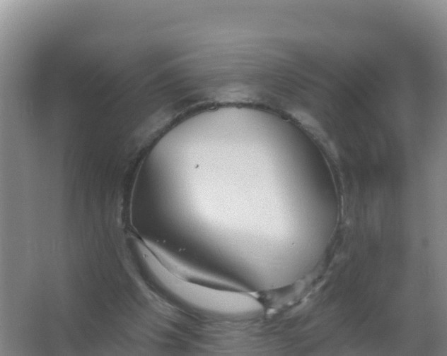 X0000066970201200604142149