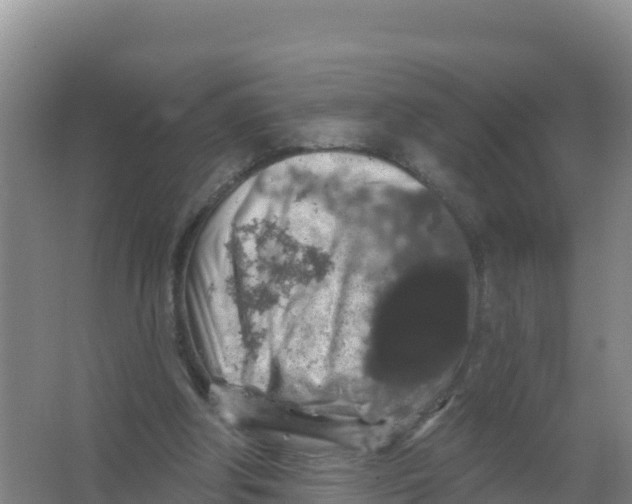 X0000066970202200604142149