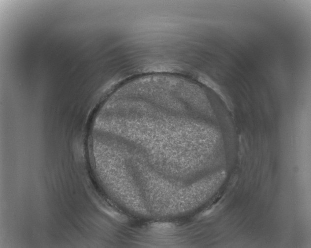 X0000066970203200604142149