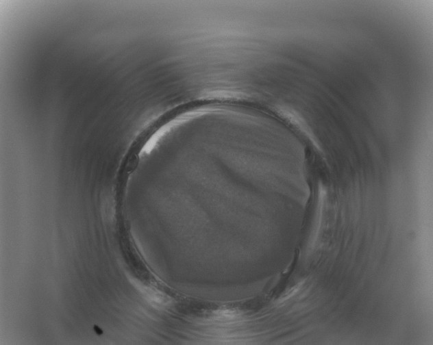 X0000066970204200604142149