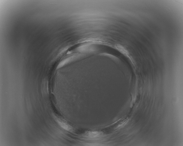 X0000066970205200604142149