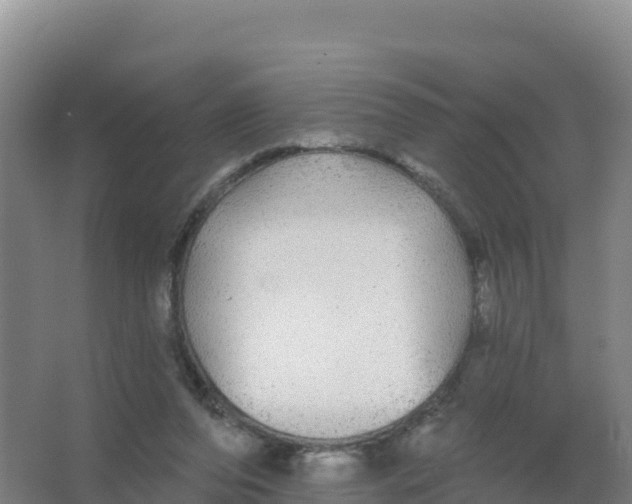 X0000066970208200604142149