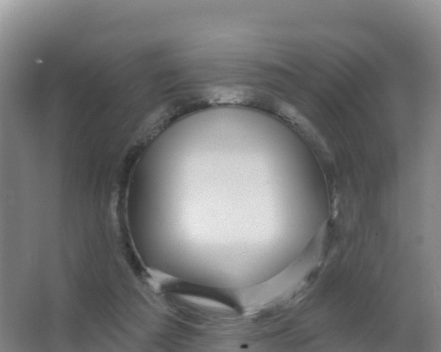 X0000066970209200604142149