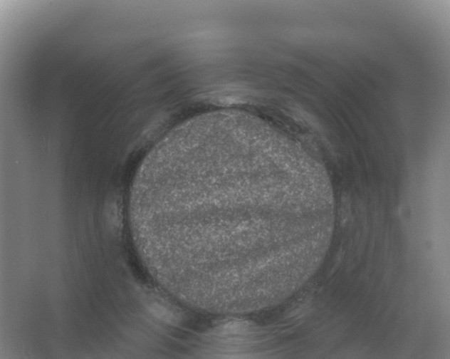 X0000066970210200604142149