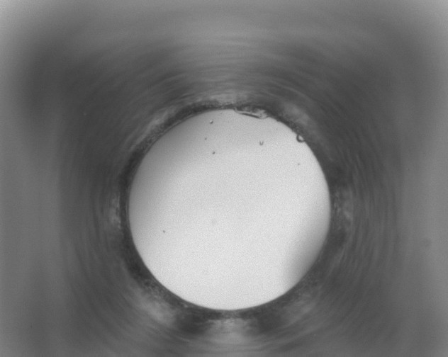 X0000066970212200604142149