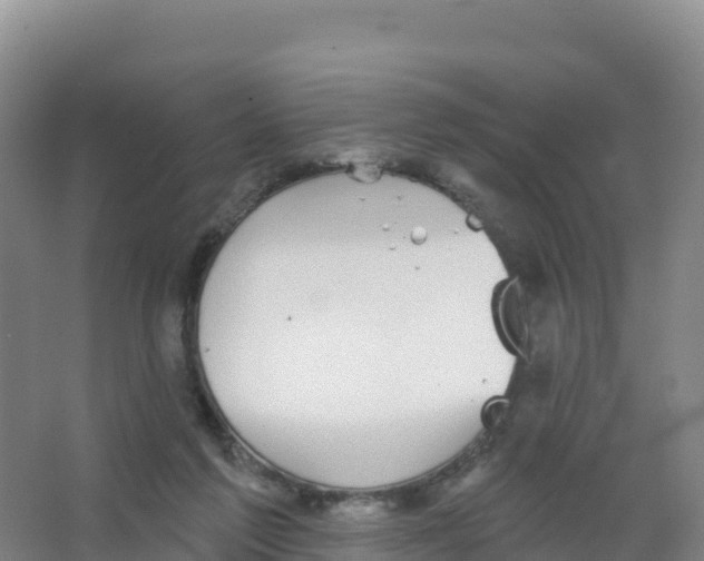 X0000066970213200604142149