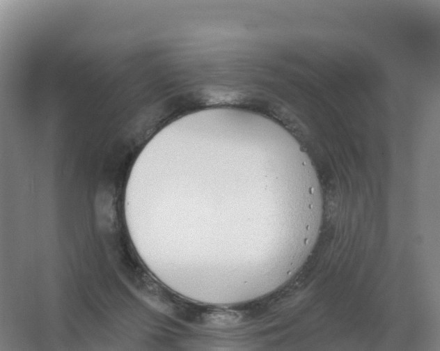 X0000066970215200604142149