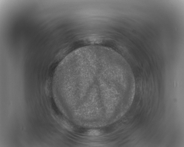 X0000066970218200604142149