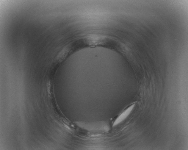 X0000066970219200604142149