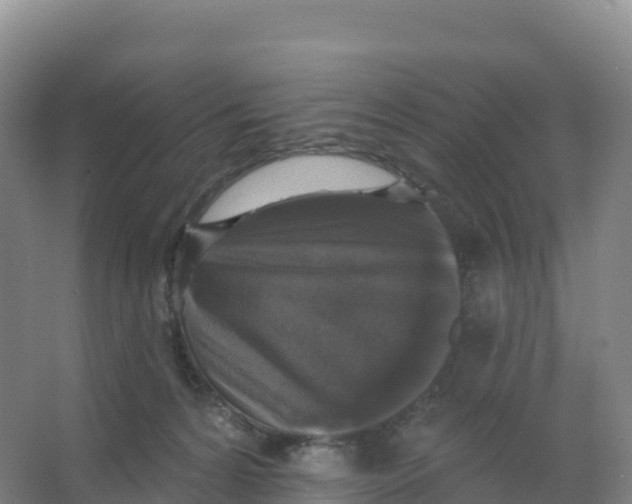 X0000066970224200604142149