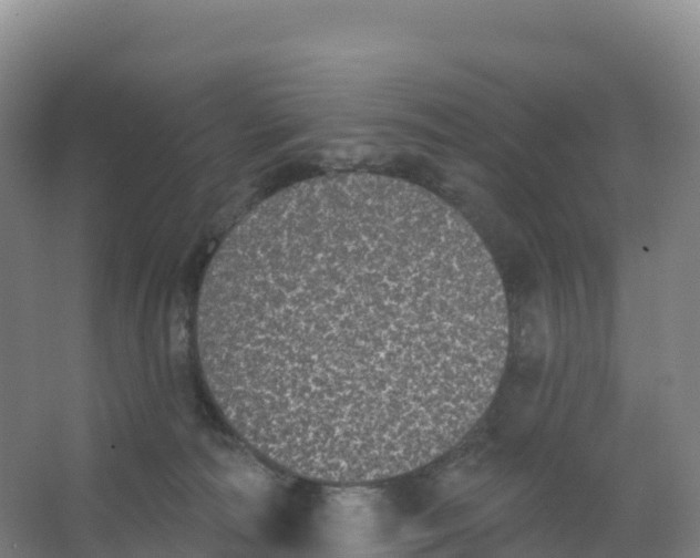 X0000066970226200604142149