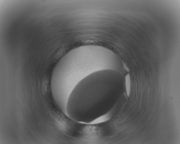 X0000066970227200604142149