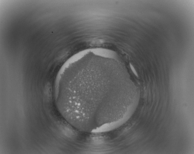 X0000066970228200604142149