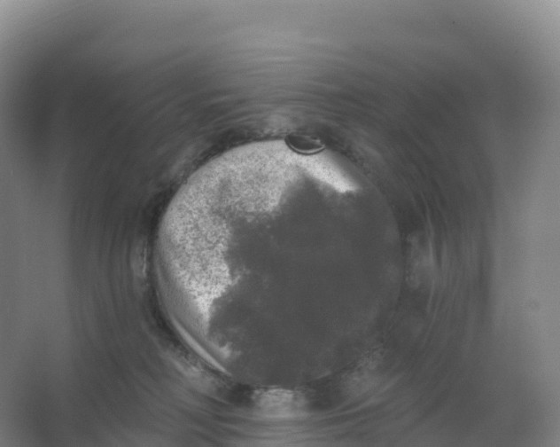 X0000066970230200604142149