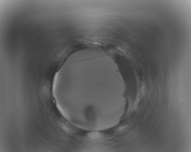 X0000066970231200604142149