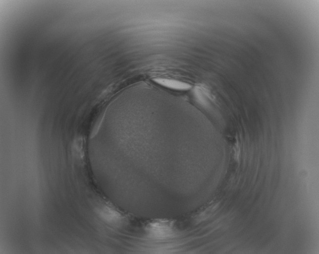 X0000066970232200604142149