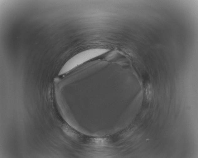 X0000066970233200604142149