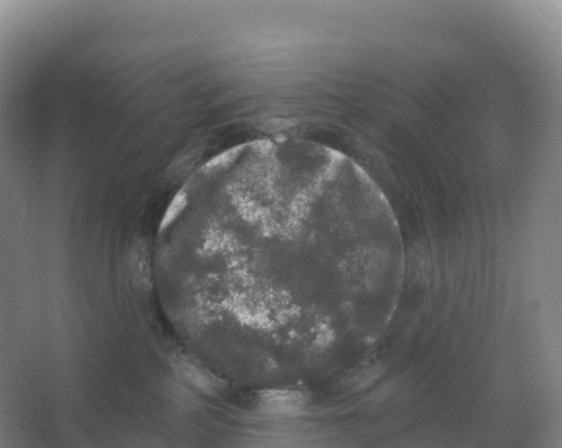 X0000066970234200604142149